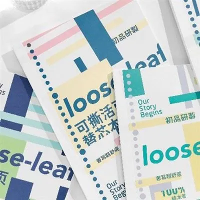 چگونه صفحات را در یک دفترچه گشاد برای گزارش مرتب کنیم؟